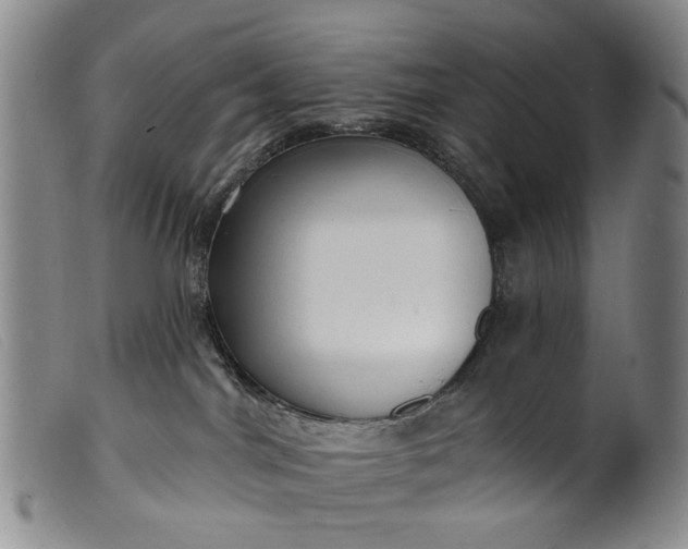 X0000099450044200805231752