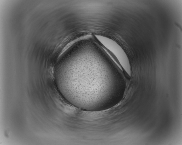 X0000099450045200805231752