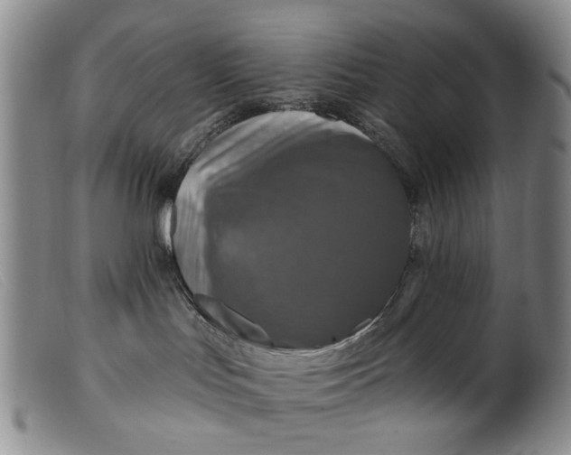 X0000099450047200805231752