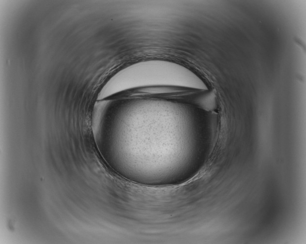 X0000099450048200805231752