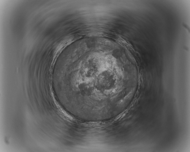 X0000099450049200805231752