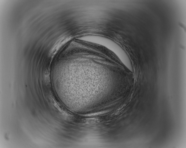 X0000099450050200805231752