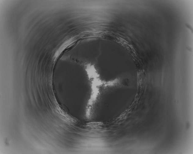 X0000099450051200805231752