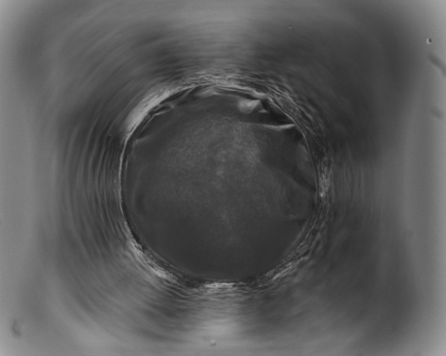 X0000099450052200805231752