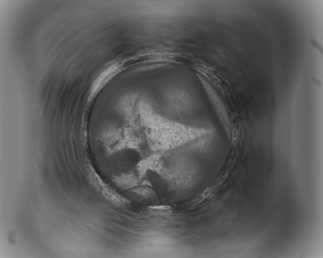 X0000099450053200805231752