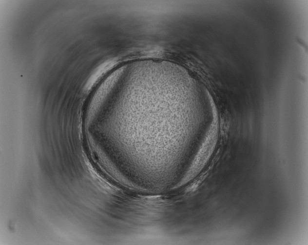 X0000099450054200805231752