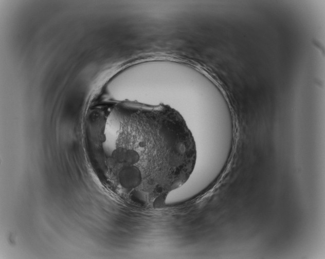 X0000099450055200805231752