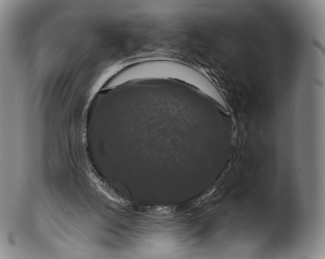 X0000099450056200805231752