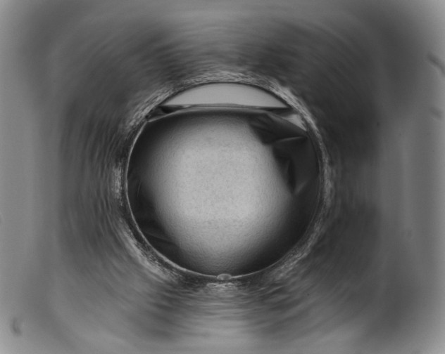 X0000099450057200805231752