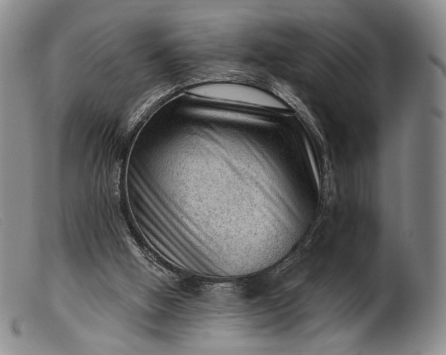 X0000099450058200805231752