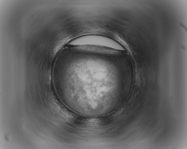 X0000099450059200805231752