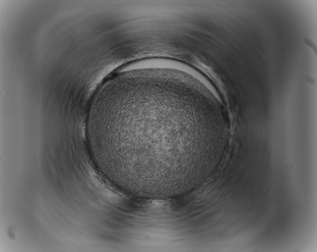 X0000099450060200805231752