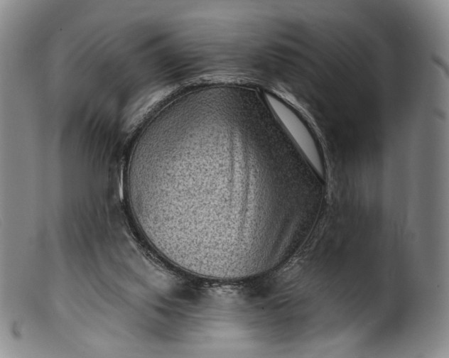 X0000099450062200805231752