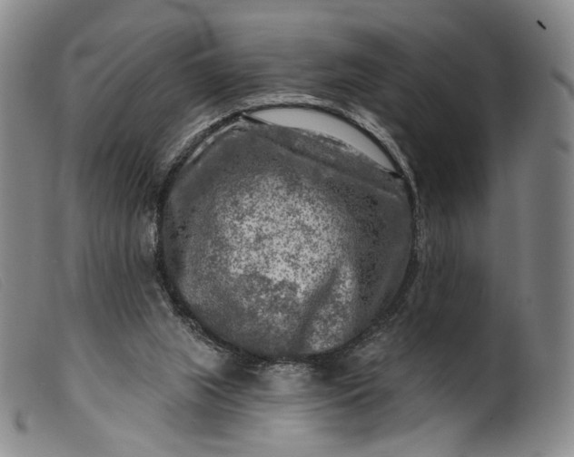 X0000099450063200805231752