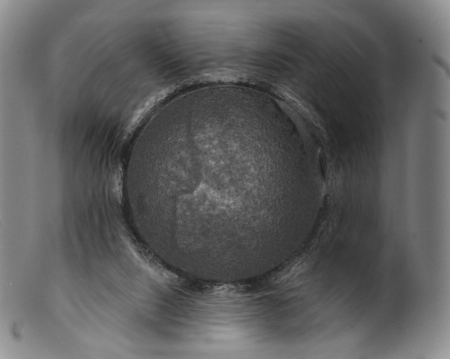 X0000099450064200805231752