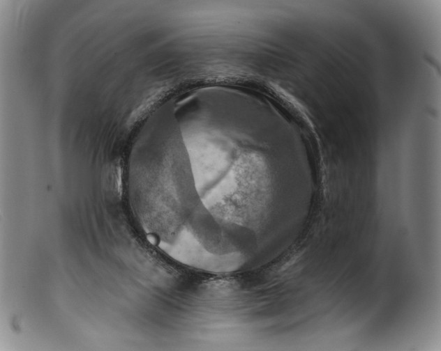 X0000099450067200805231752