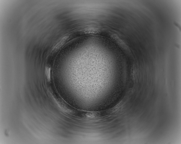 X0000099450070200805231752