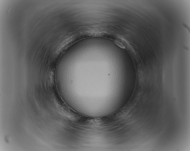 X0000099450071200805231752