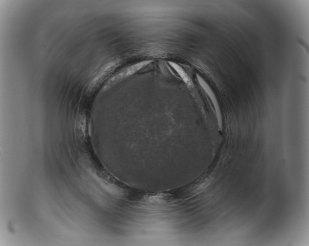 X0000099450072200805231752