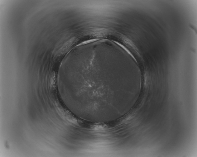 X0000099450073200805231752