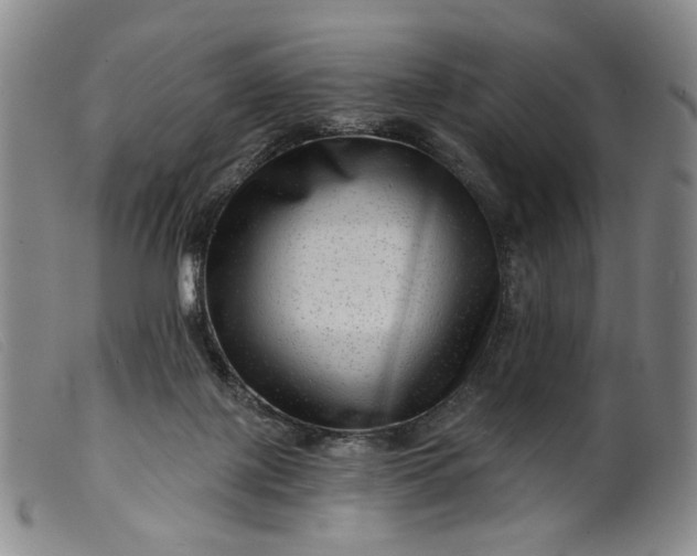 X0000099450075200805231752