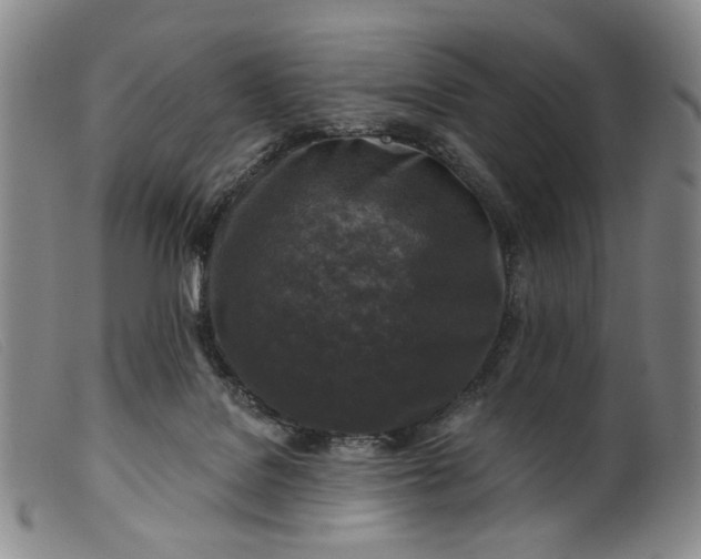 X0000099450076200805231752