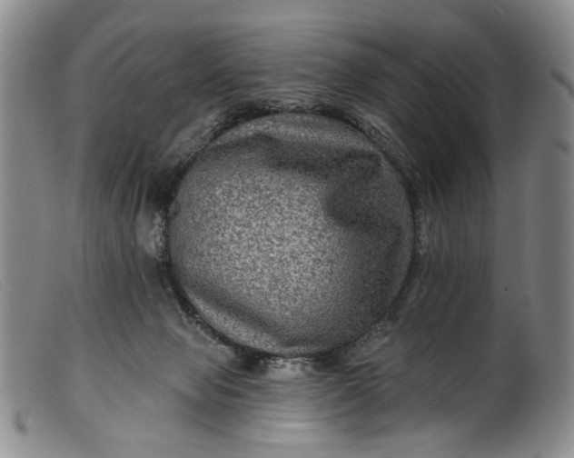 X0000099450077200805231752