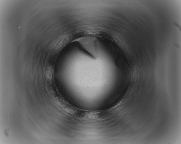 X0000099450078200805231752