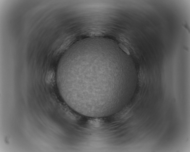 X0000099450079200805231752