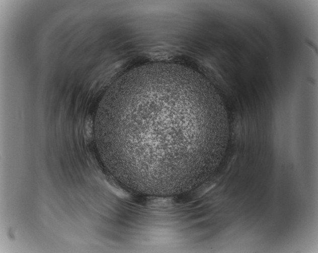 X0000099450081200805231752