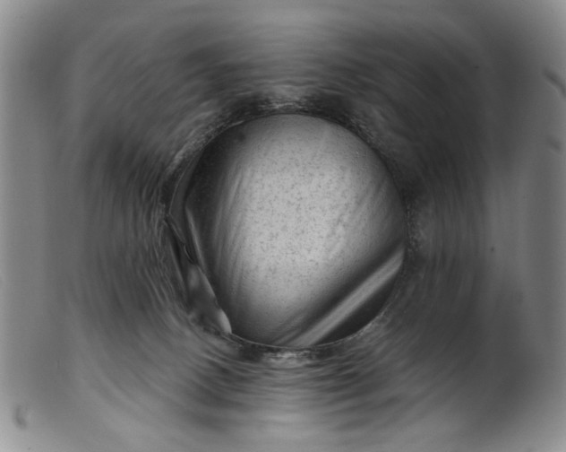 X0000099450082200805231752