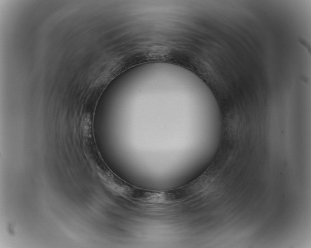 X0000099450083200805231752