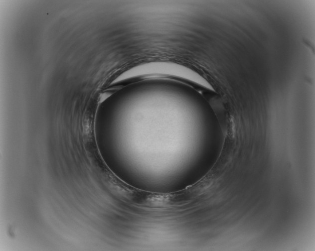 X0000099450084200805231752