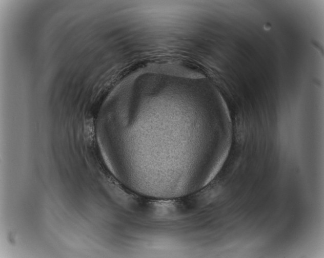 X0000099450085200805231752