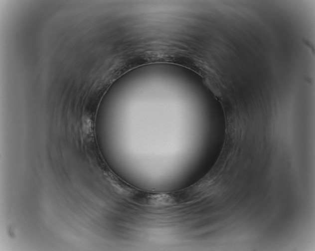 X0000099450087200805231752