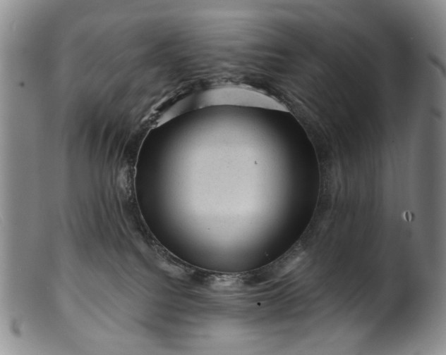 X0000099450088200805231752