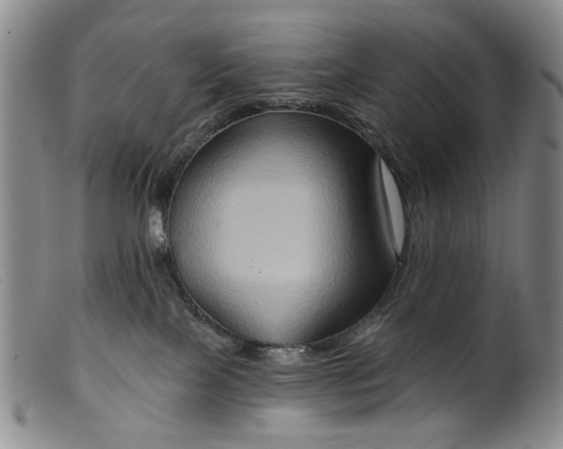 X0000099450089200805231752