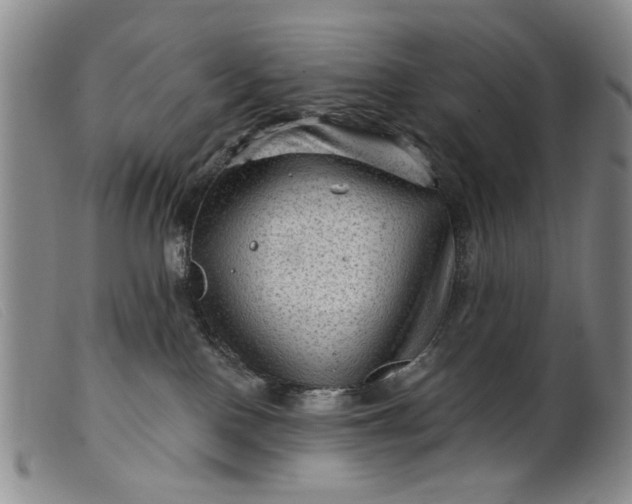 X0000099450090200805231752