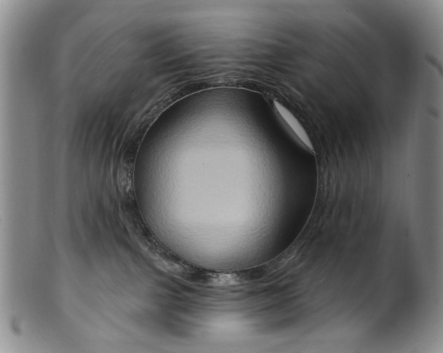 X0000099450091200805231752