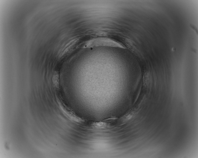 X0000099450092200805231752