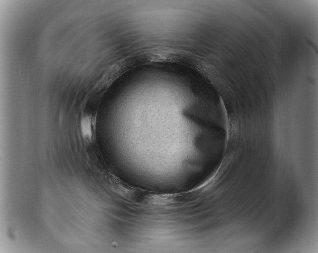 X0000099450094200805231752