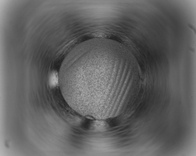 X0000099450095200805231752