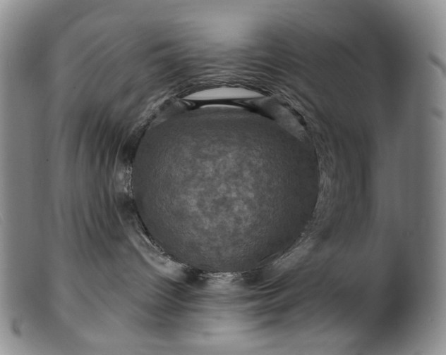 X0000099450096200805231752