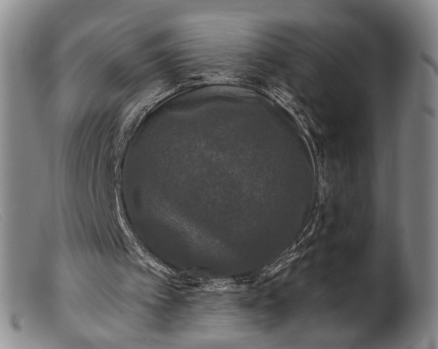 X0000099450097200805231752