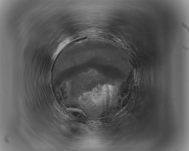 X0000099450099200805231752