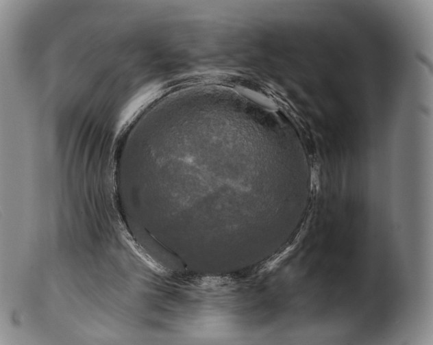 X0000099450101200805231752