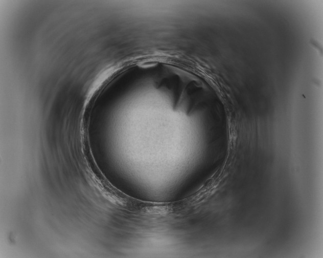 X0000099450102200805231751