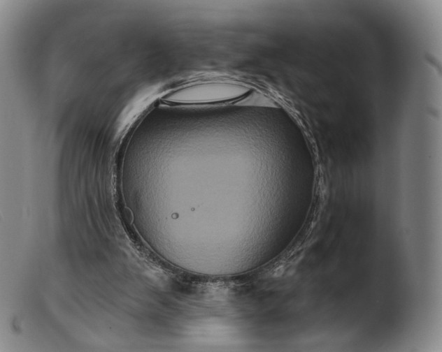 X0000099450103200805231751