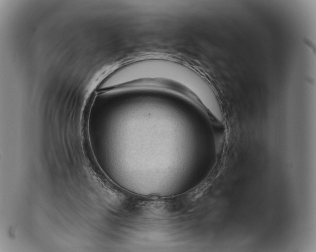 X0000099450104200805231751