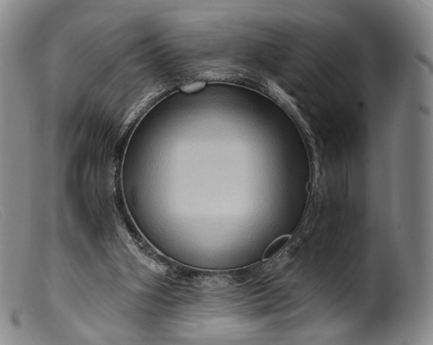 X0000099450106200805231751